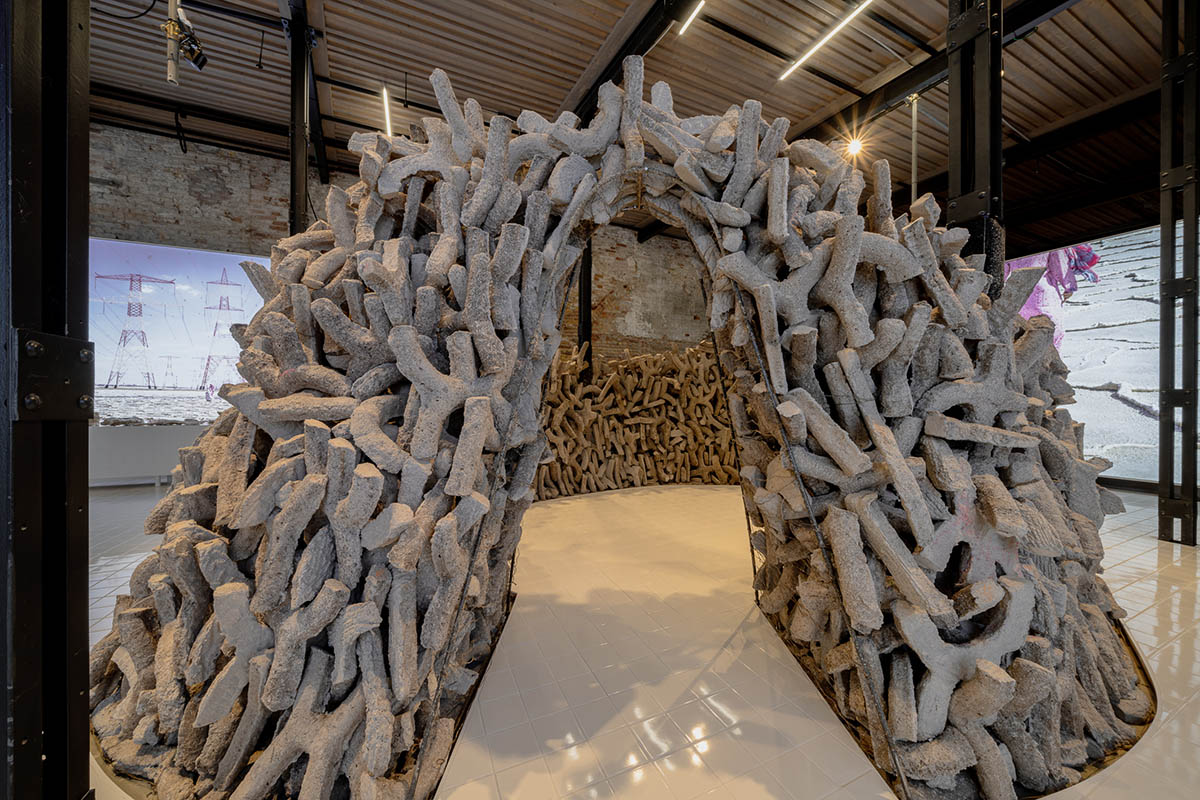 UAE's Wetland wins Golden Lion for Best National Participation at 2021 Venice Architecture Biennale