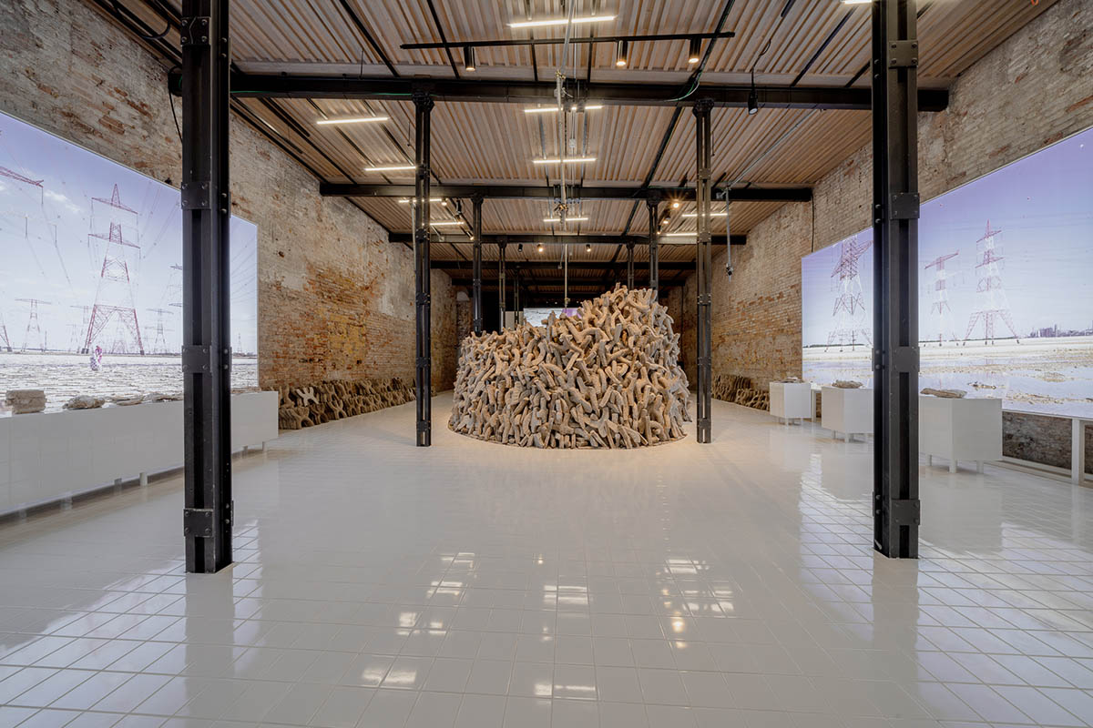 UAE's Wetland wins Golden Lion for Best National Participation at 2021 Venice Architecture Biennale