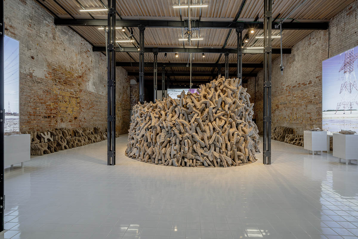 UAE's Wetland wins Golden Lion for Best National Participation at 2021 Venice Architecture Biennale