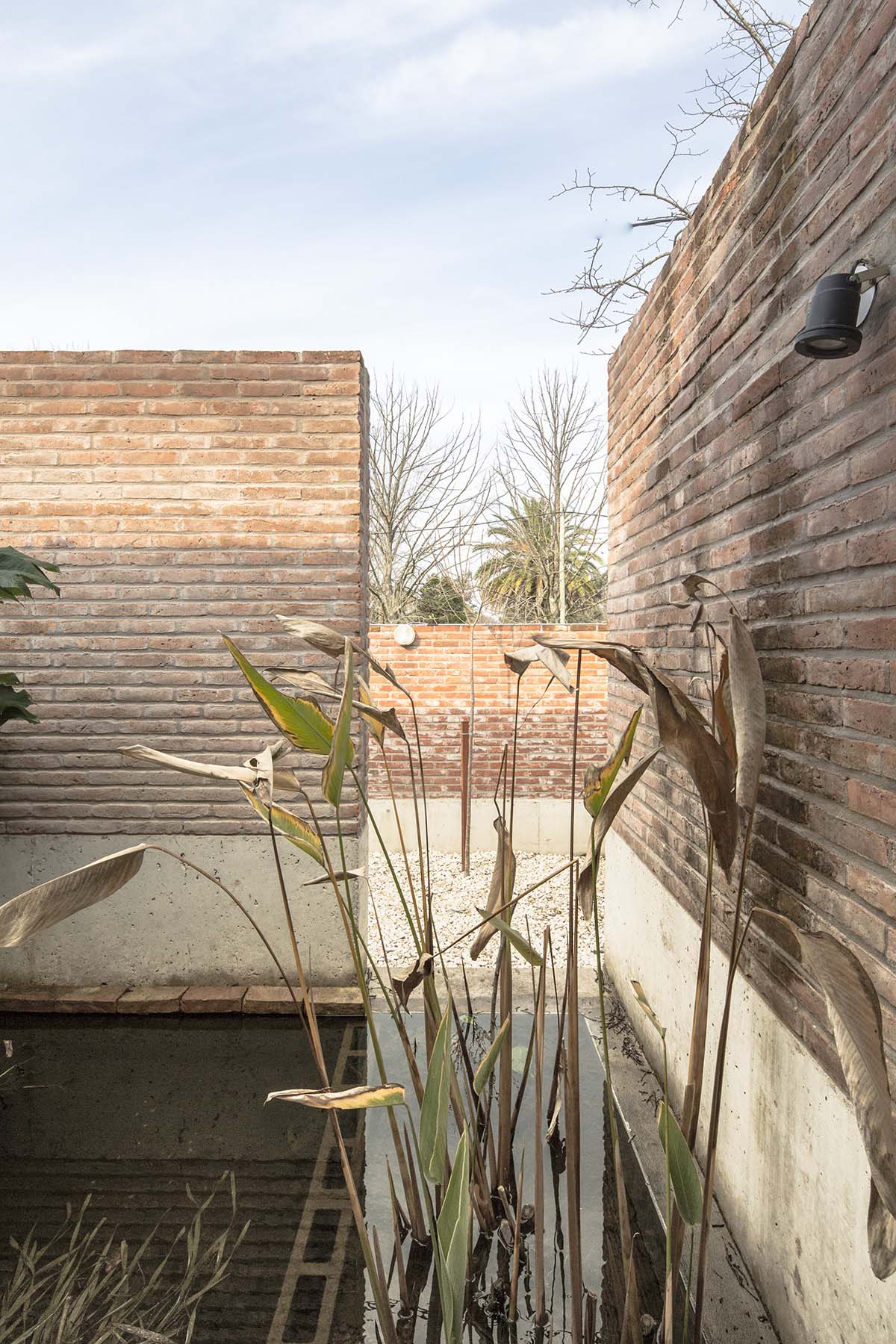 BAAG's Rodney House features light vaults that form living units in Buenos Aires, Argentina