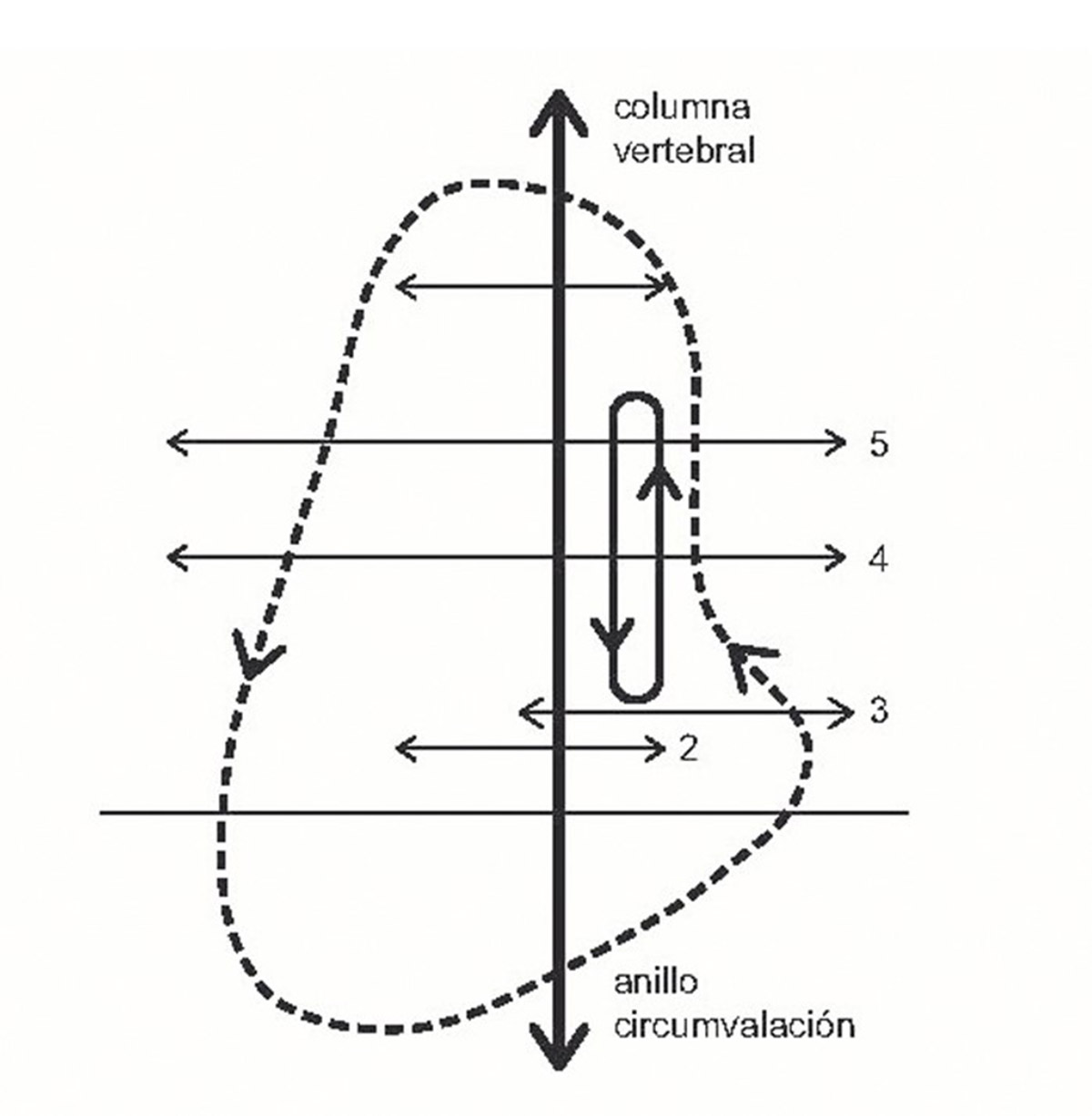 Barcelona’s new Vall d’Hebron research building will be the future of biomedical research