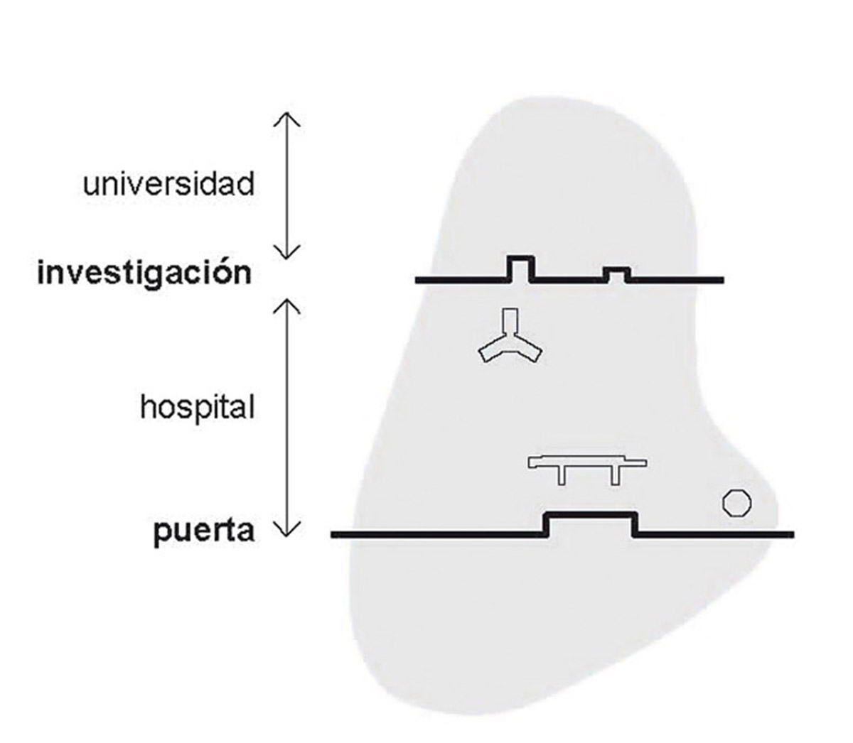 Barcelona’s new Vall d’Hebron research building will be the future of biomedical research