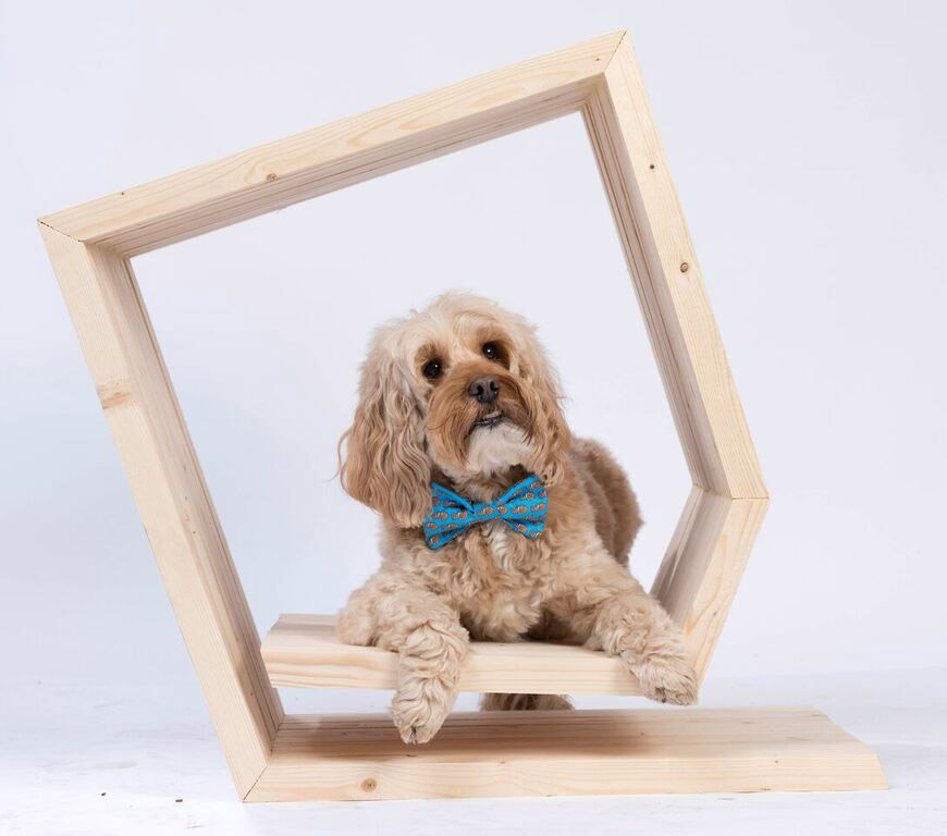 Zaha Hadid Design, SPARK Architects and more exhibit kennel designs for BowWow Haus London