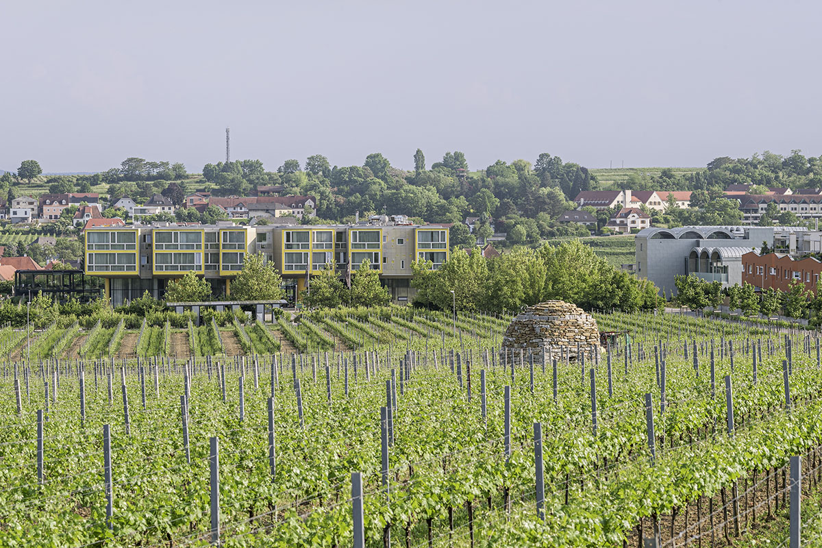 Steven Holl Architects completes Loisium Hotel expansion in Langenlois, Austria