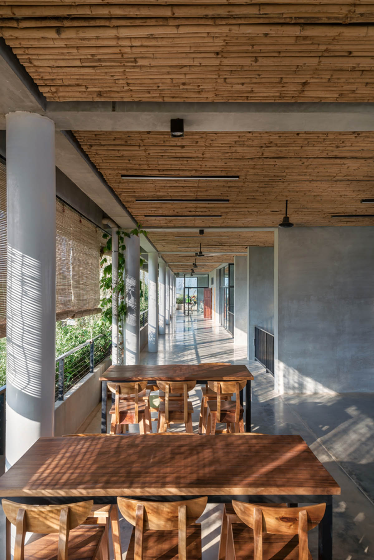 T3 Architects covers façade of Coconut Club in Cambodia with natural curtain made of plants 