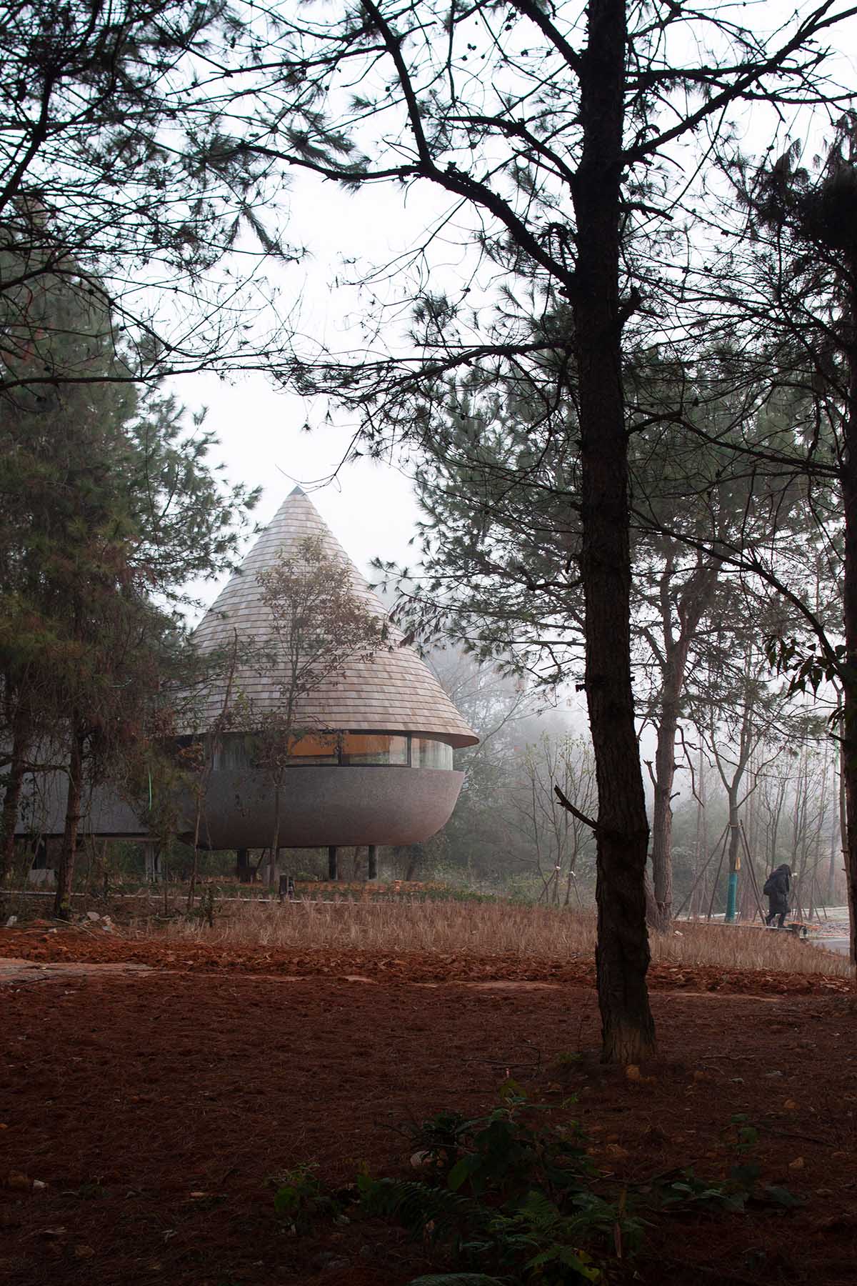 ZJJZ completes a mushroom-formed wood house in a pine forest of Jiangxi