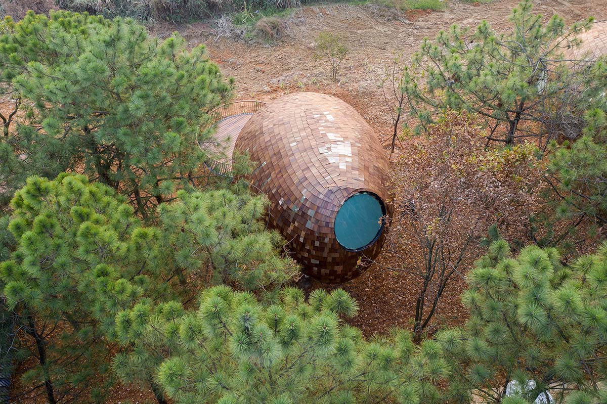 ZJJZ built The Seeds made of ellipsoidal surfaces and clad in pine shingles in Jiangxi, China