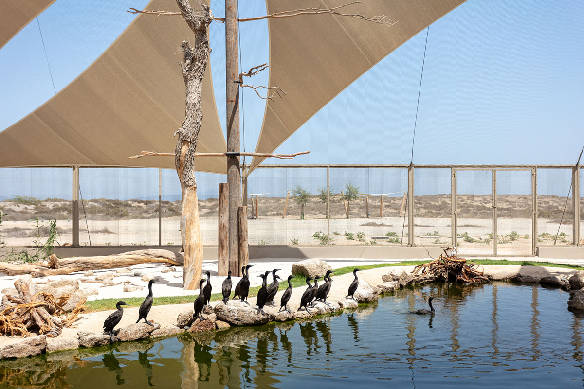 Hopkins Architects created seven interconnected pods for Turtle Sanctuary in Sharjah