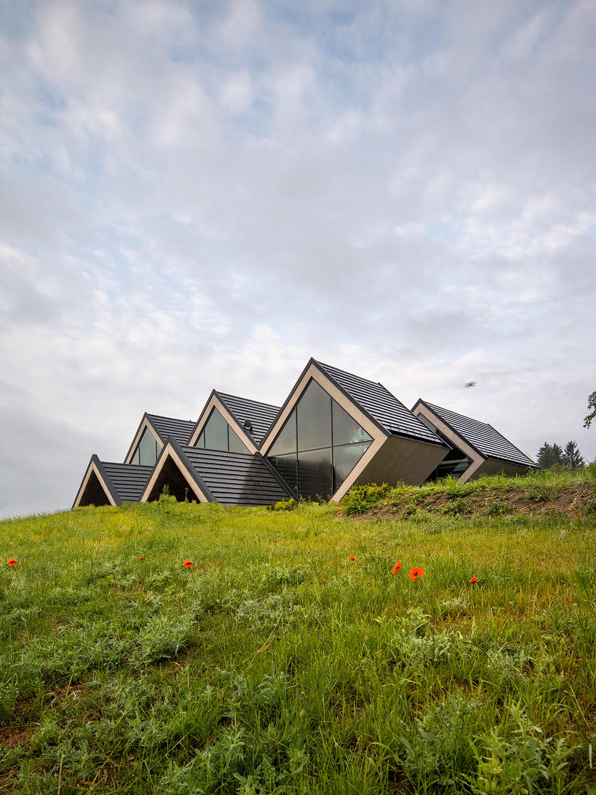 BORD completes cider production facility with rhombus-shaped tunnel-like volumes in Hungary