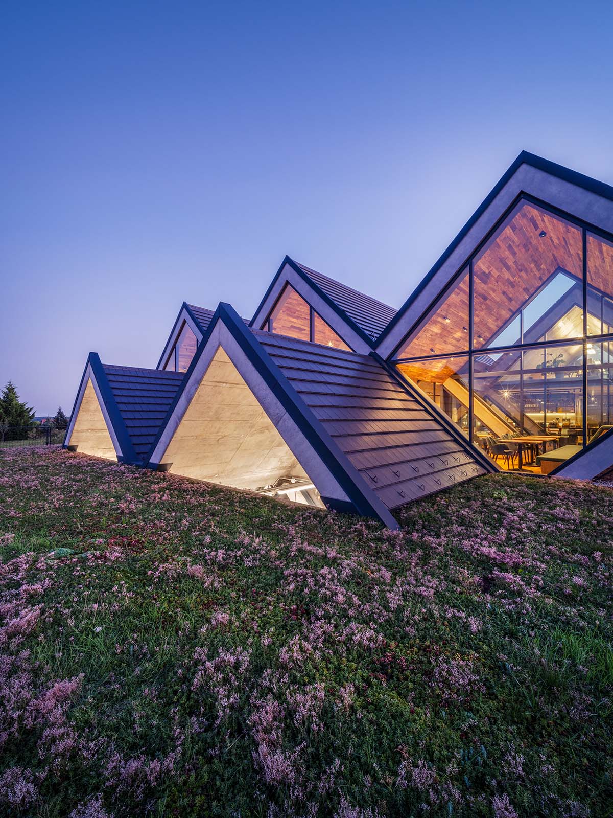 BORD completes cider production facility with rhombus-shaped tunnel-like volumes in Hungary