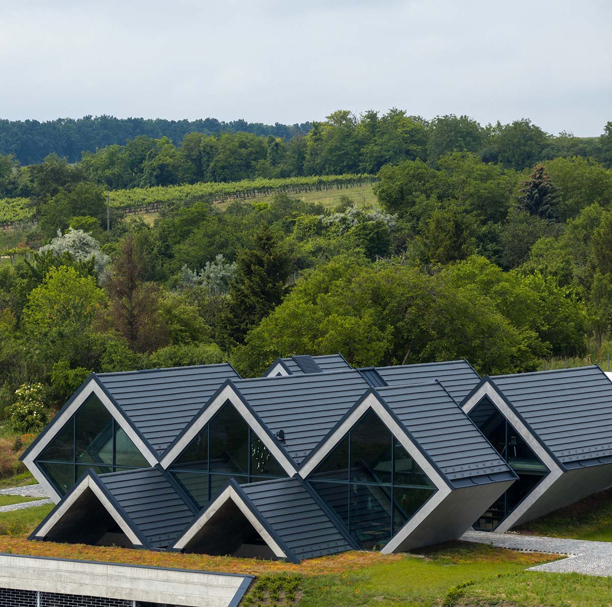 BORD completes cider production facility with rhombus-shaped tunnel-like volumes in Hungary