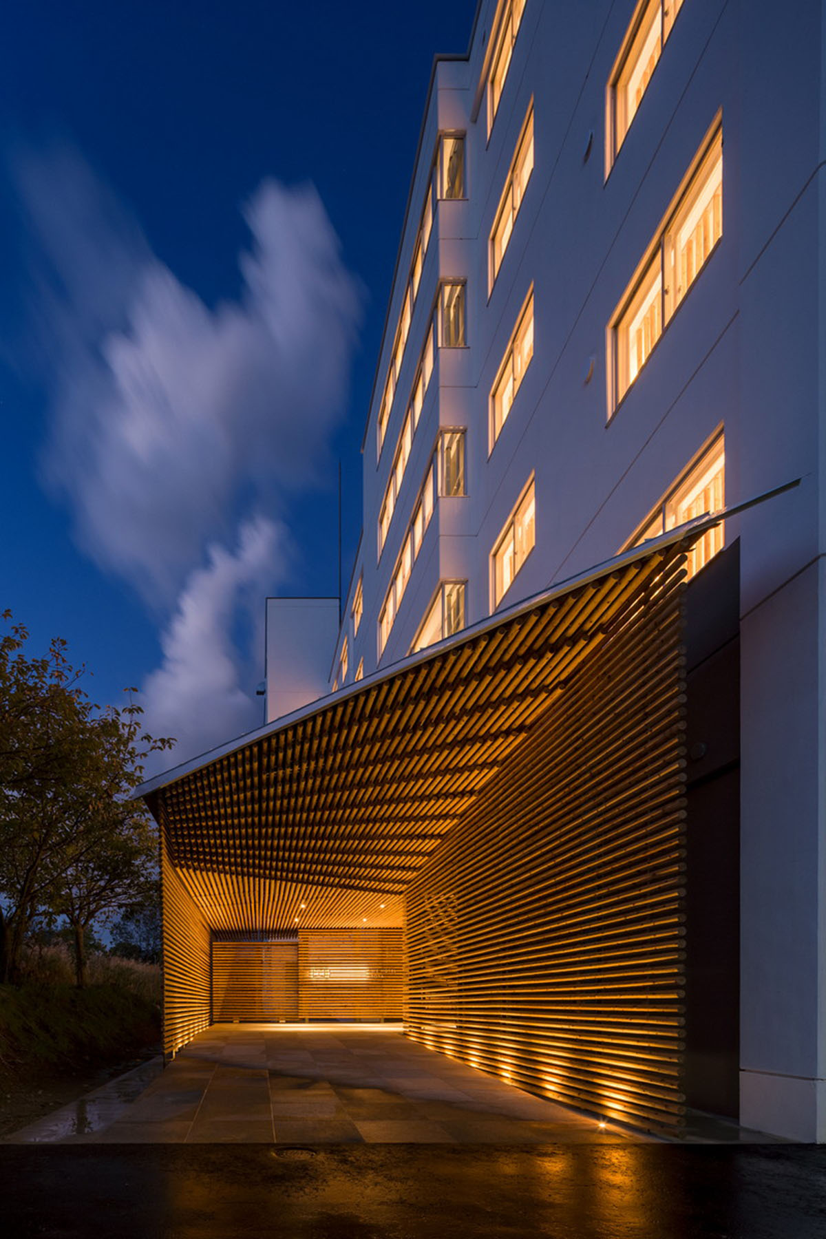 Kengo Kuma completes We Hotel Toya with cave-like interior on the shore ...