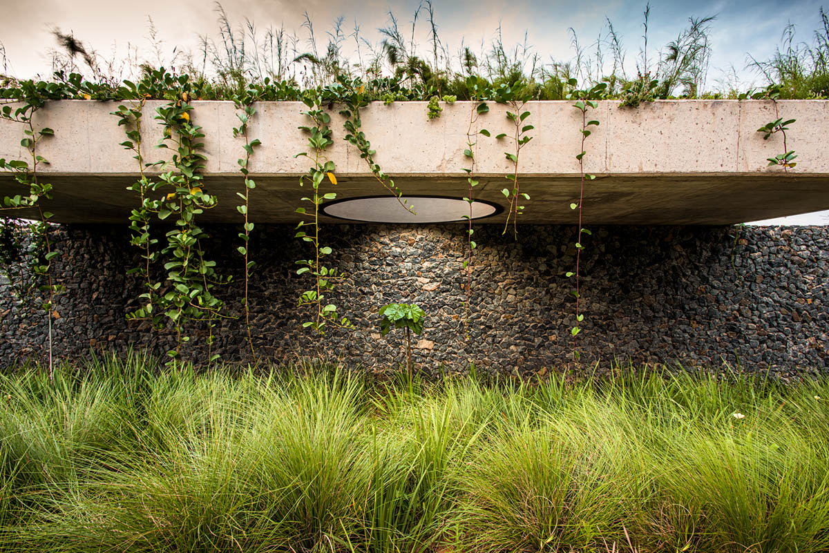 Bloc Architects completes low-rise office building with raw elements in South Africa