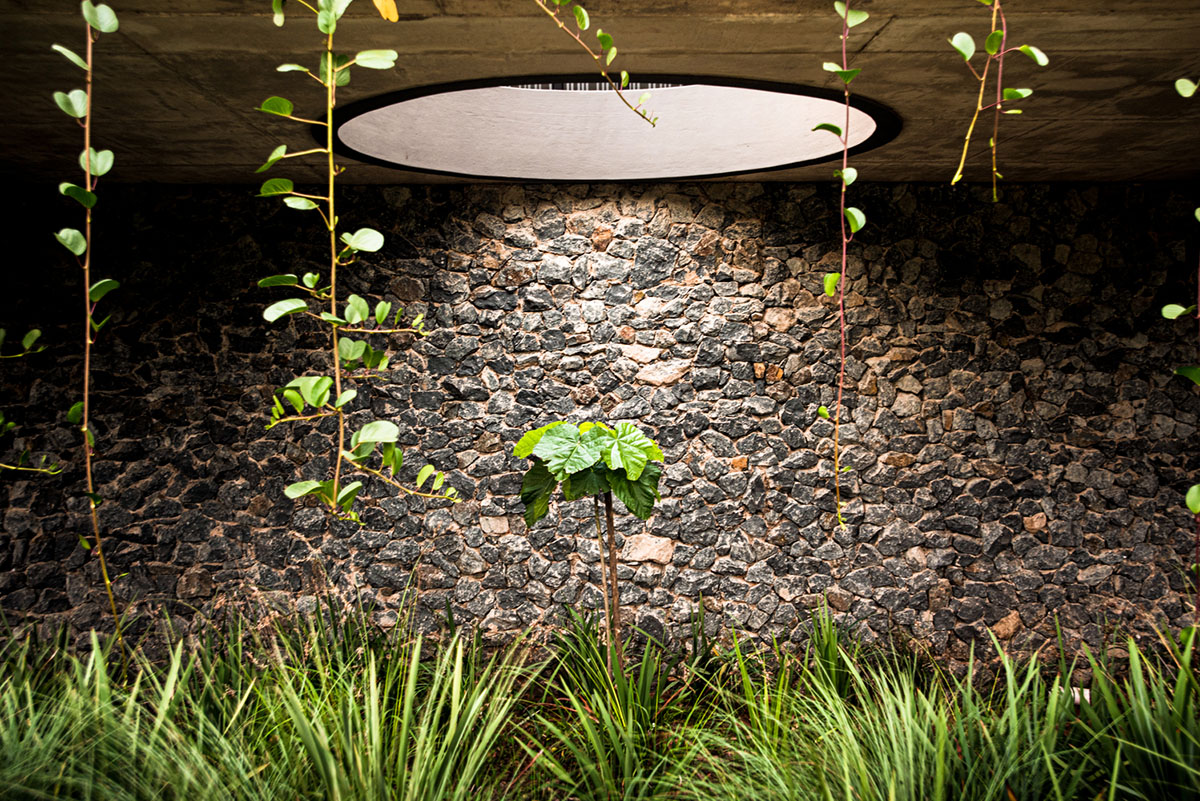 Bloc Architects completes low-rise office building with raw elements in South Africa