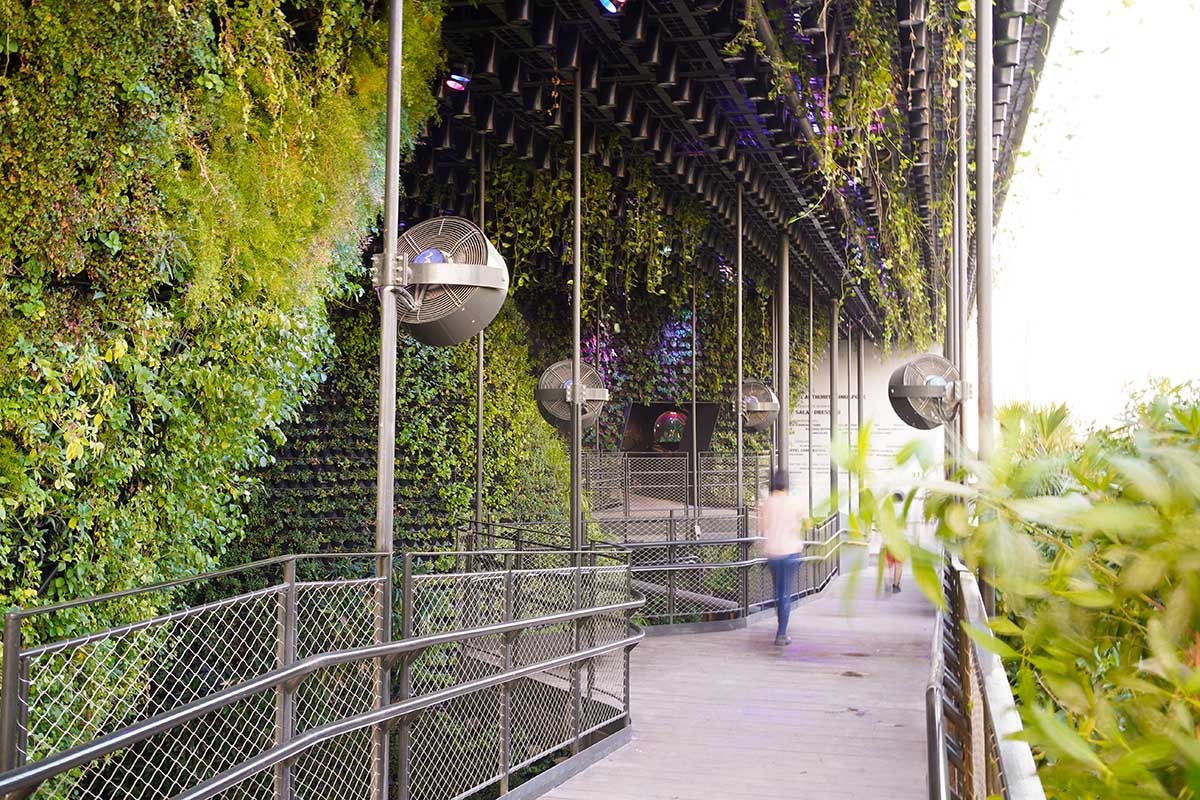 A city in nature: Singapore Pavilion presents Nature. Nurture. Future at Expo 2020 Dubai