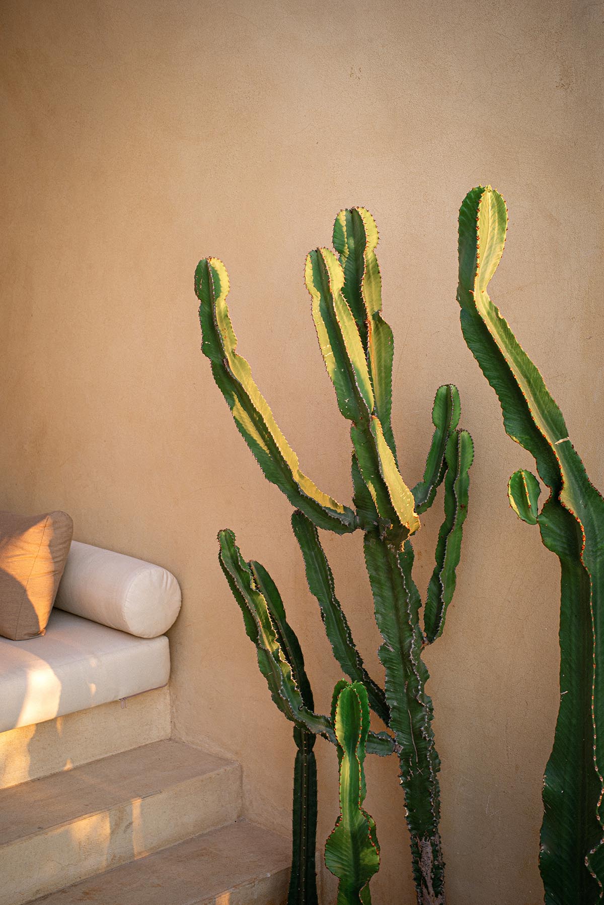 Carl Gerges Architects built this boutique hotel and resort as