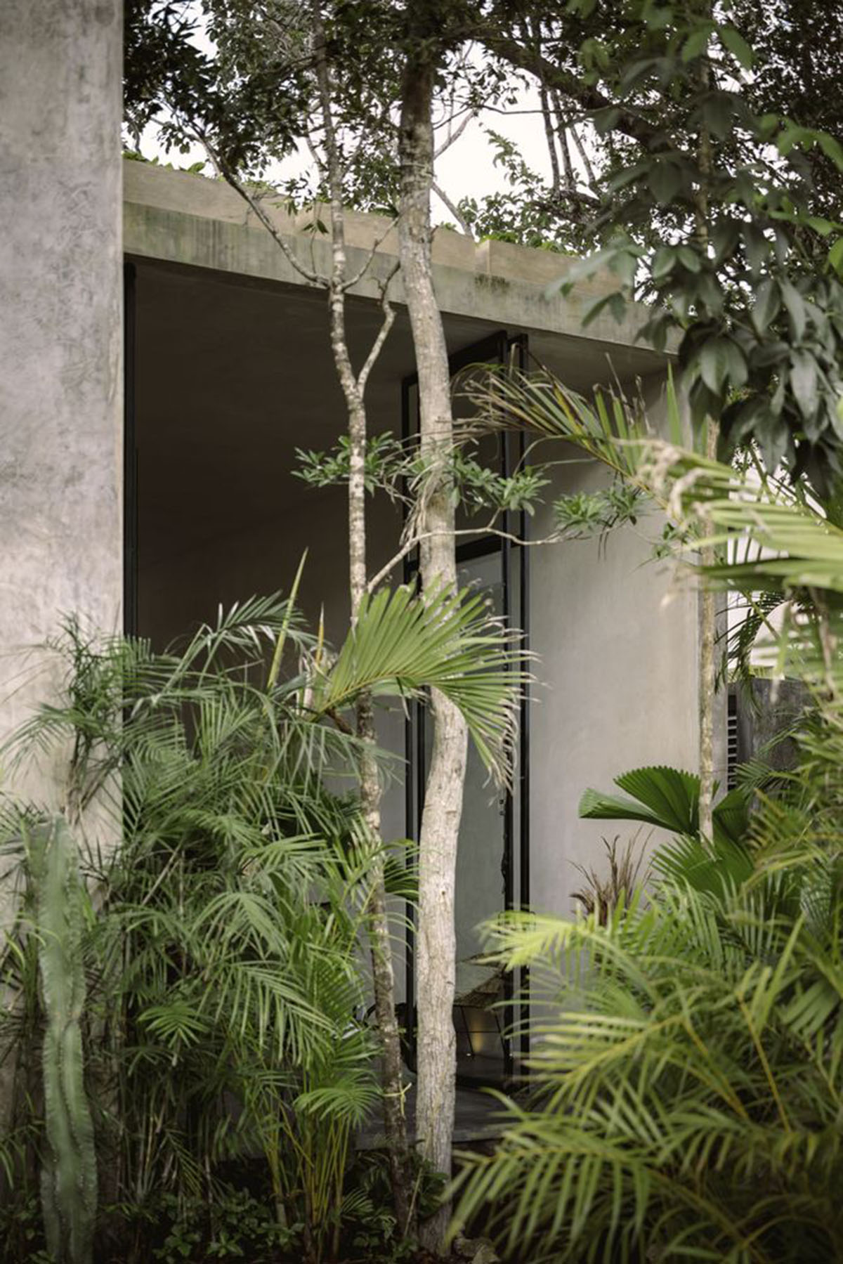 CO-LAB Design Office built concrete villa framing a lush jungle in Tulum
