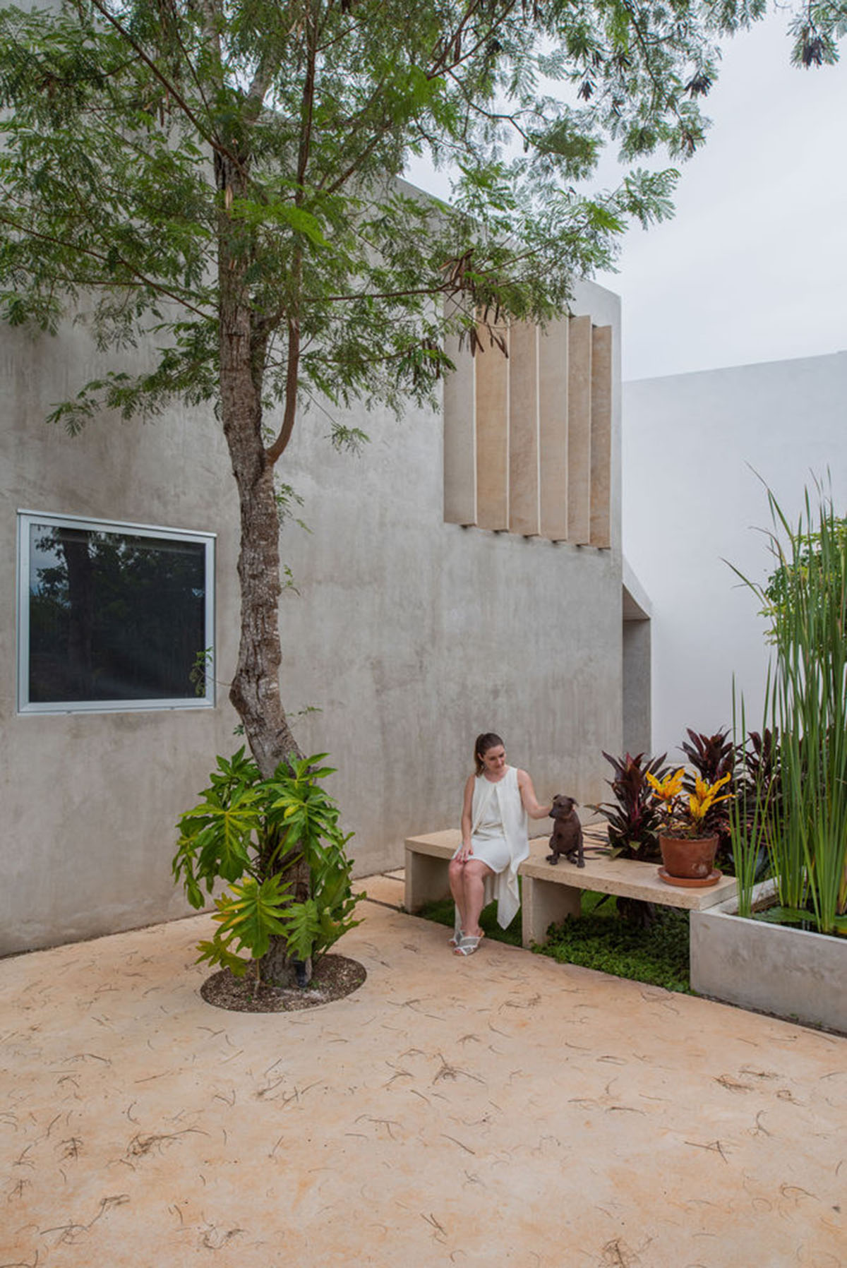 Natural-toned detached house by TACO features dynamic open spaces and backyards in Mexico