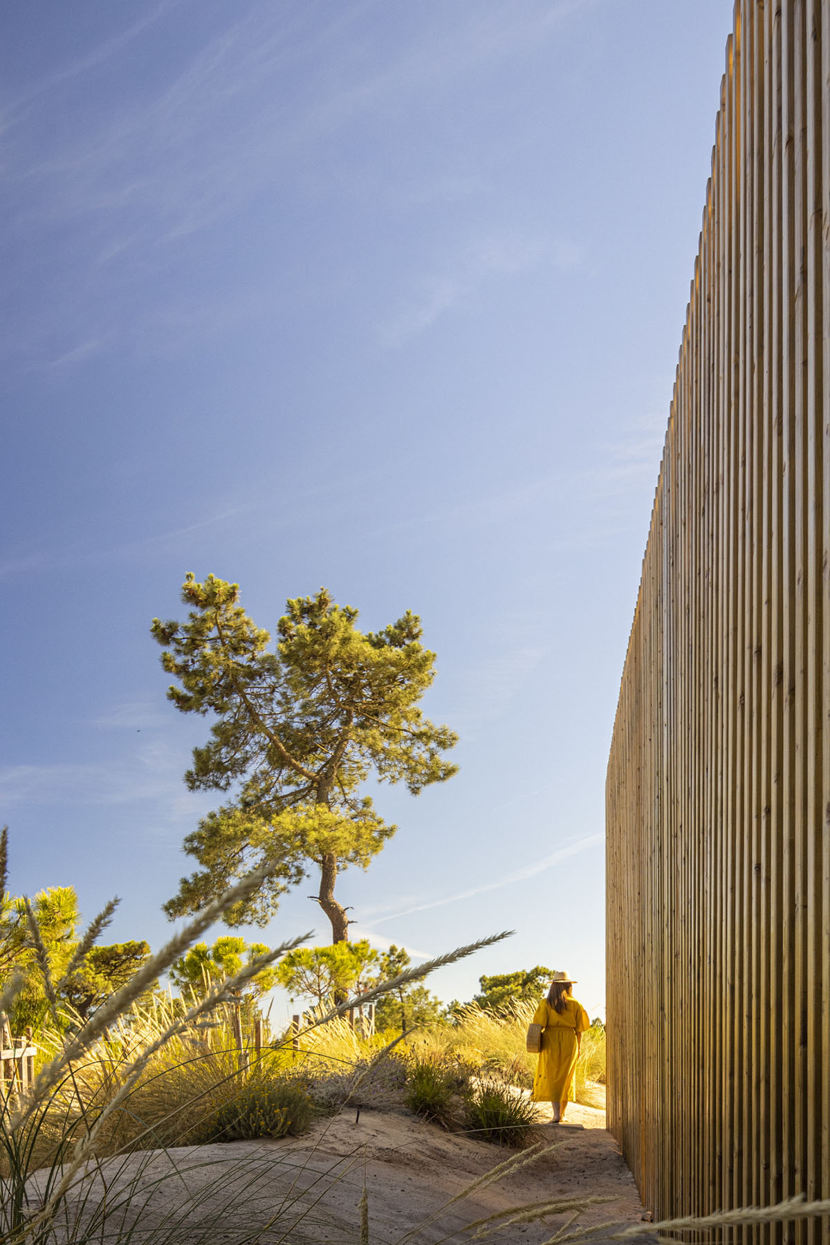 Palisade House is wrapped by a long palisade in fir wood to protect dunes in Troia, Portugal 