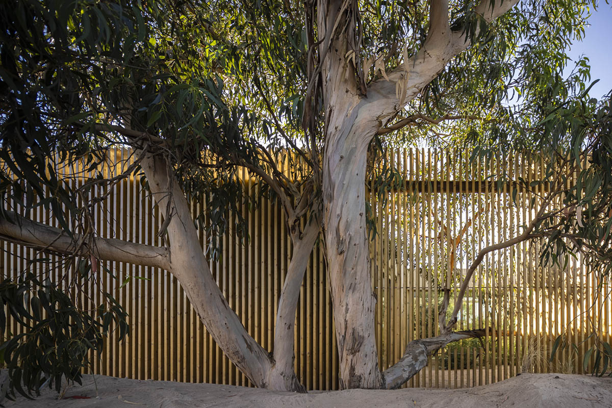 Palisade House is wrapped by a long palisade in fir wood to protect dunes in Troia, Portugal 
