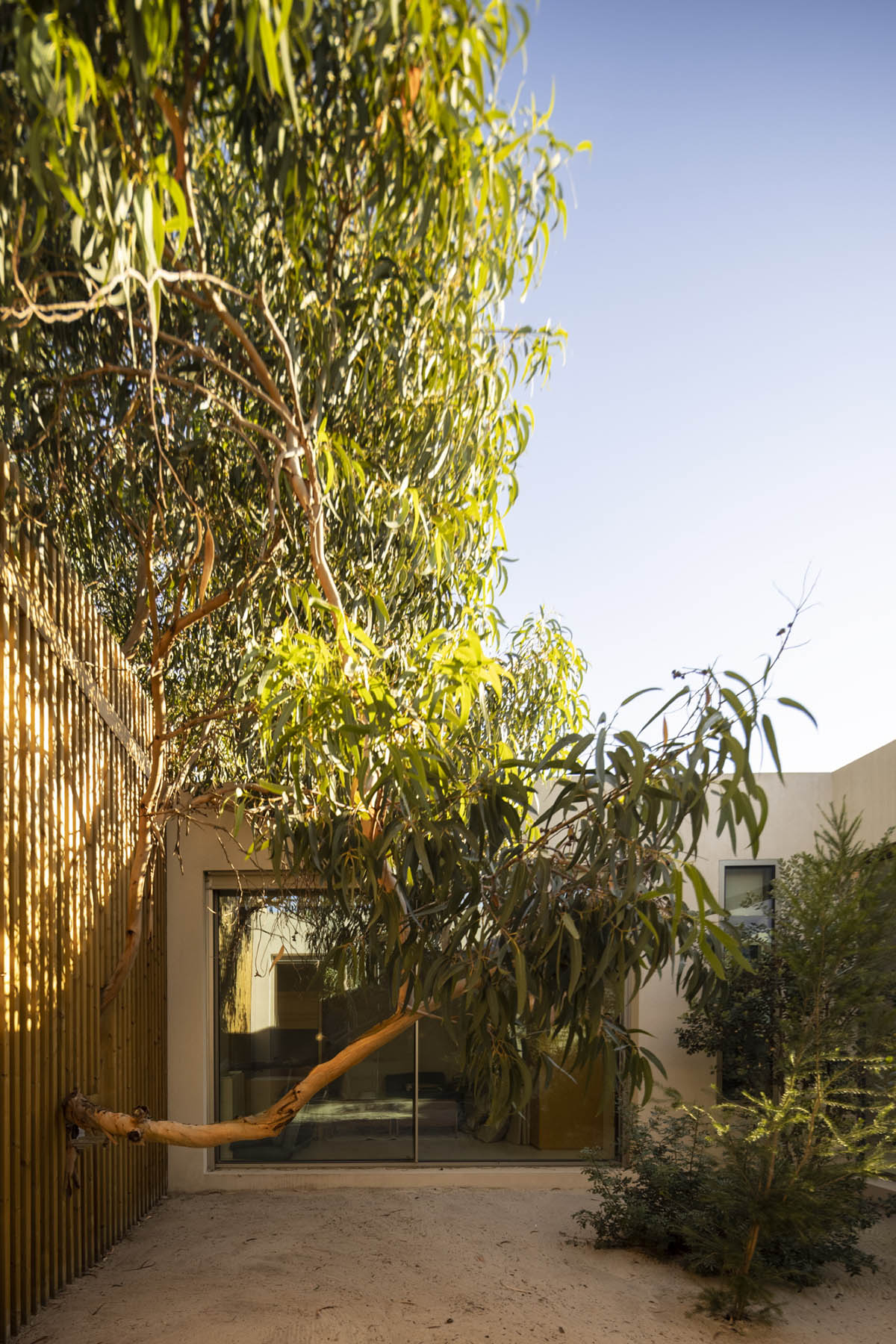 Palisade House is wrapped by a long palisade in fir wood to protect dunes in Troia, Portugal 