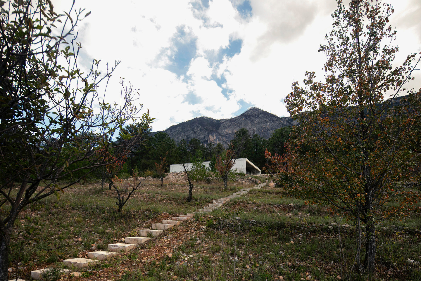 S-AR completes concrete Casa Mirador in Mexico 
