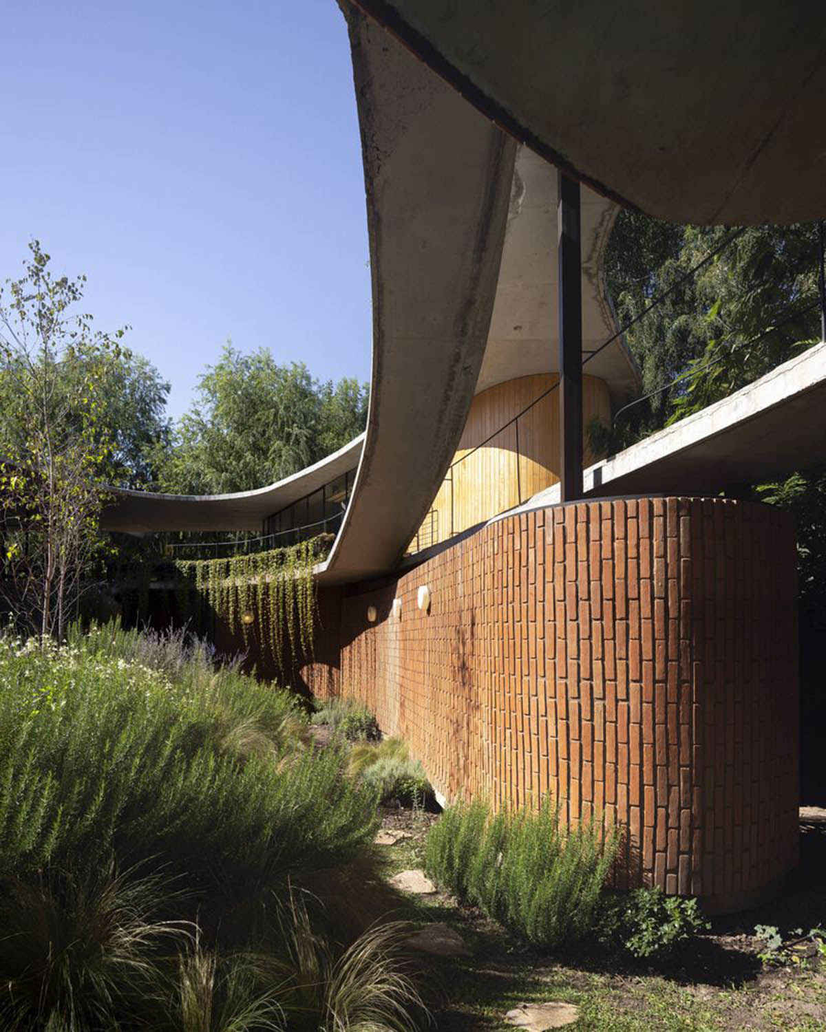 Slender, curvaceous canopy wraps organically-shaped Rita House in Argentinean forest