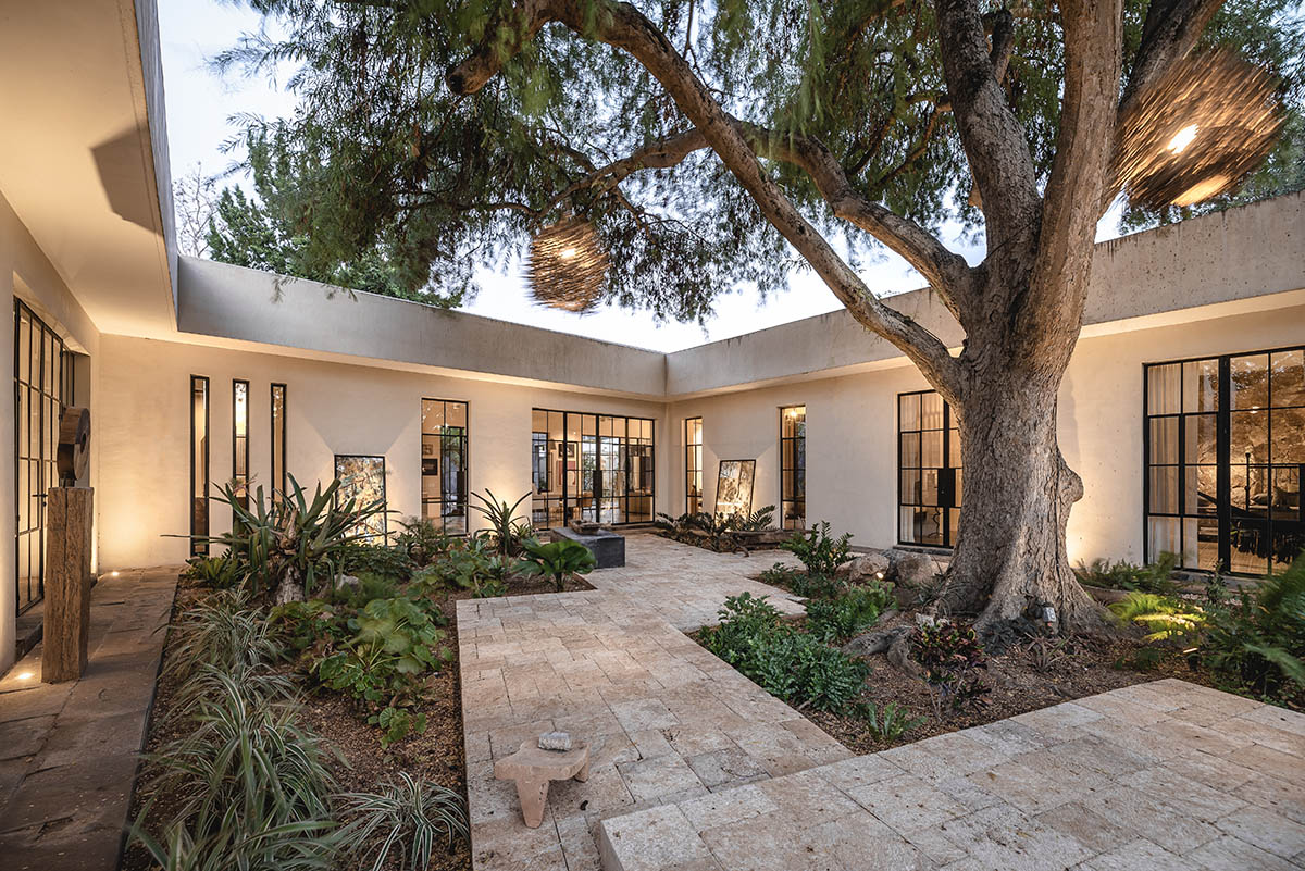 Taller Estilo Arquitectura completes Mexican house with a conducting wall framing vegetation 