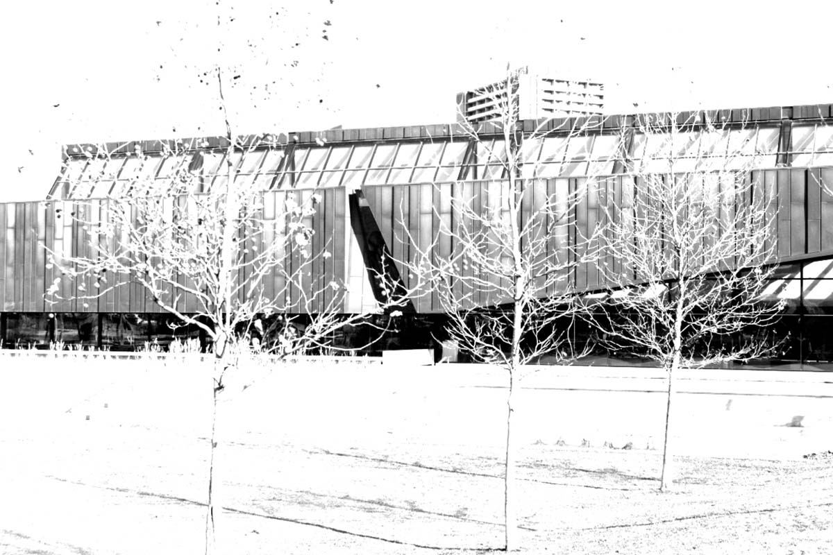 Regent Park Revitalization: A Practice of Engagement Social Urban Architecture