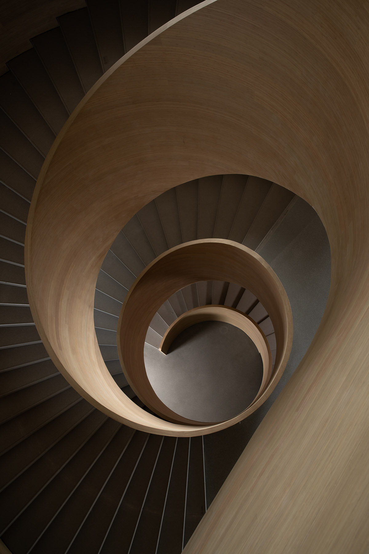 Art museum by CSD Design features curvaceous volume and roof inspired by the flower of Chengdu