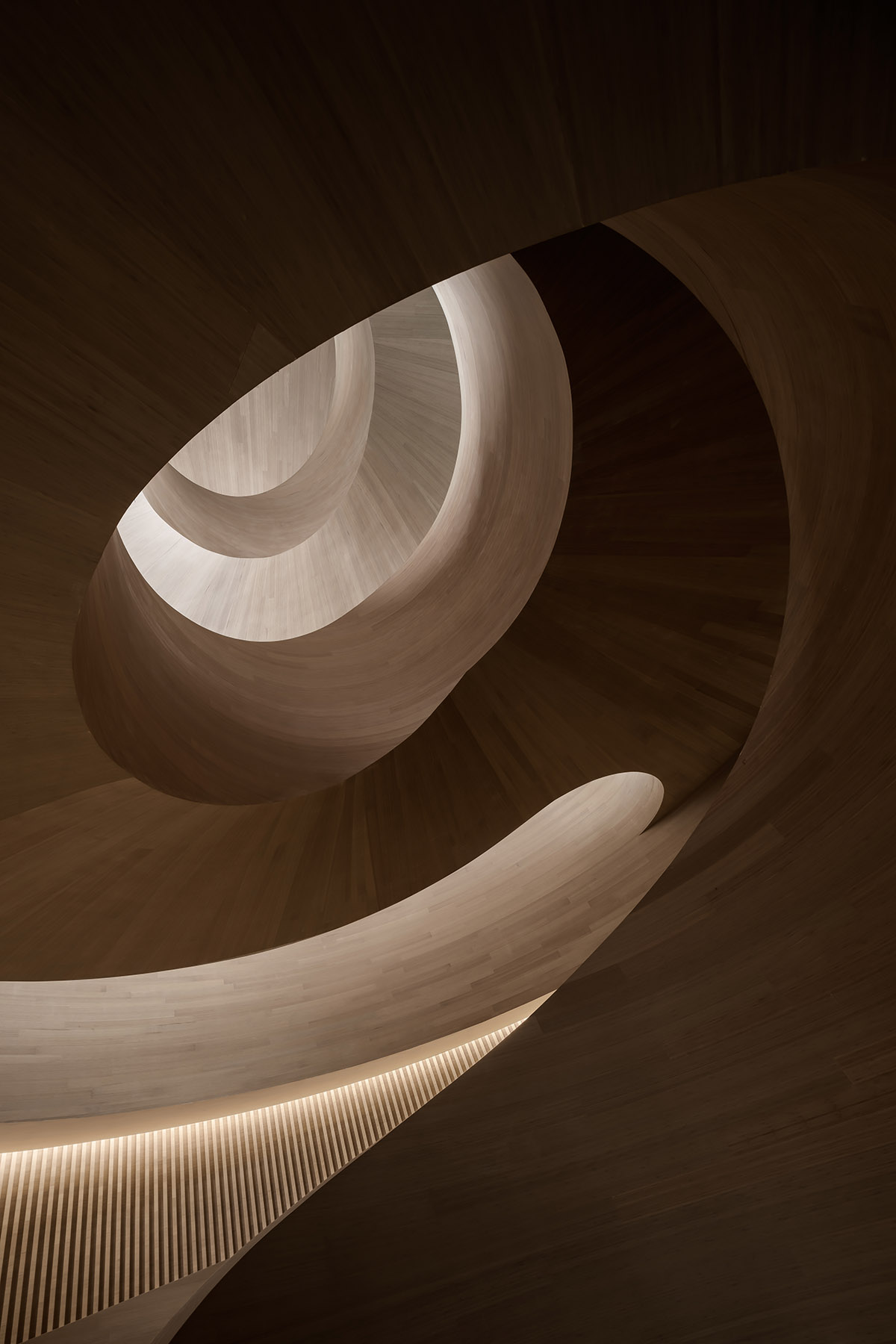 Art museum by CSD Design features curvaceous volume and roof