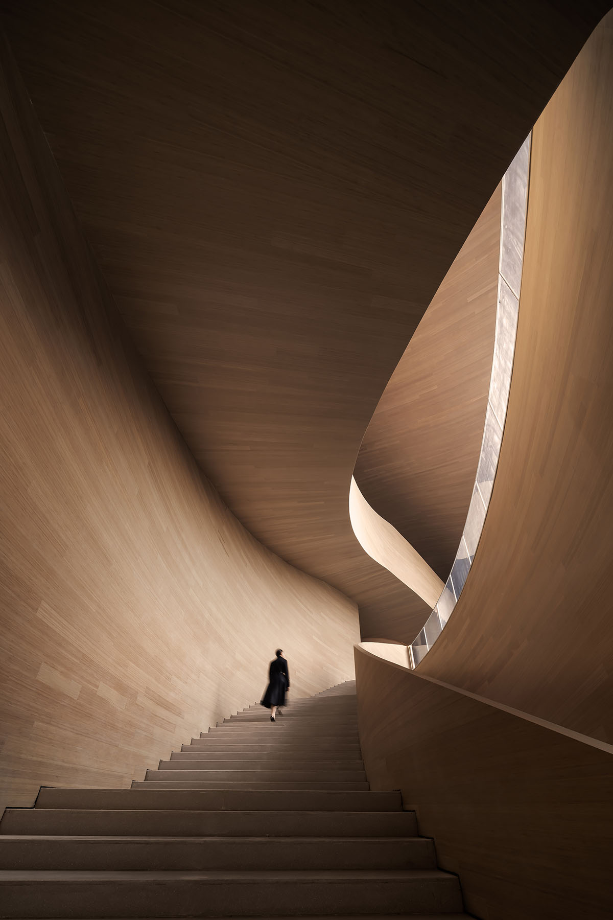 Art museum by CSD Design features curvaceous volume and roof