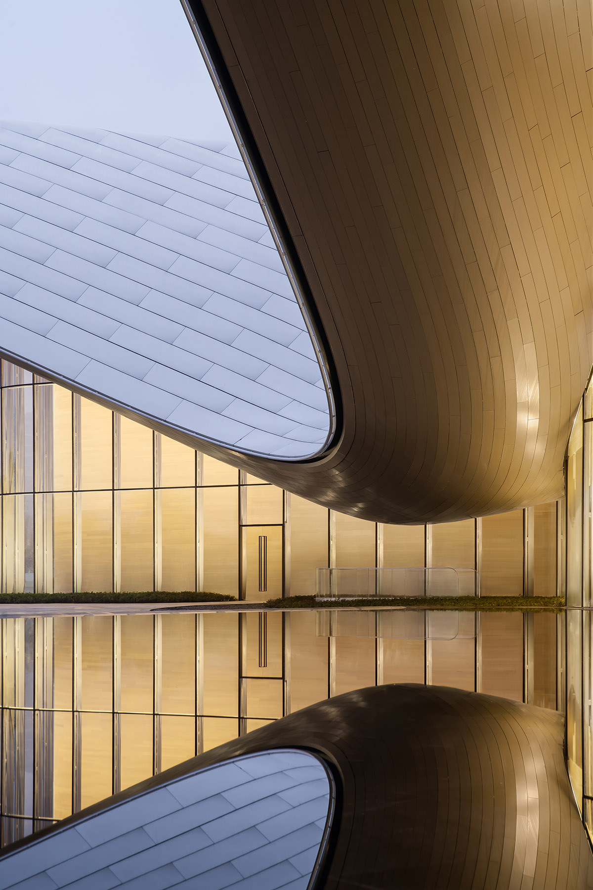 Art museum by CSD Design features curvaceous volume and roof