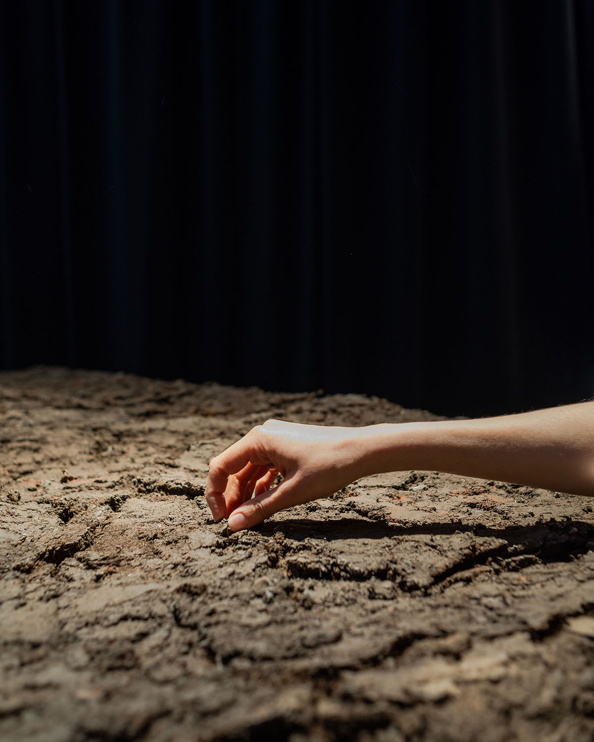 Mexico Pavilion brings the ancient Mesoamerican agricultural system into the Venice Biennale