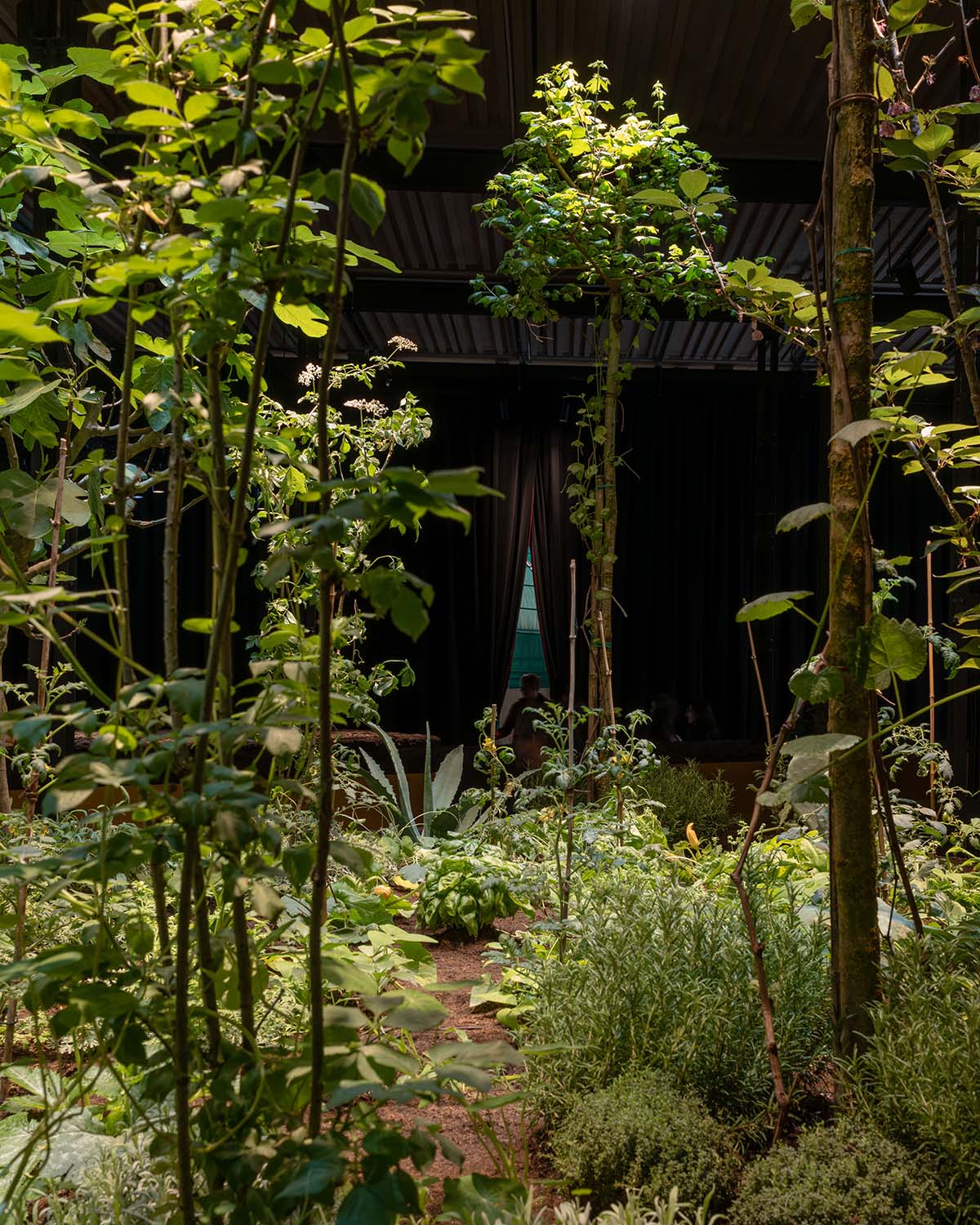 Mexico Pavilion brings the ancient Mesoamerican agricultural system into the Venice Biennale