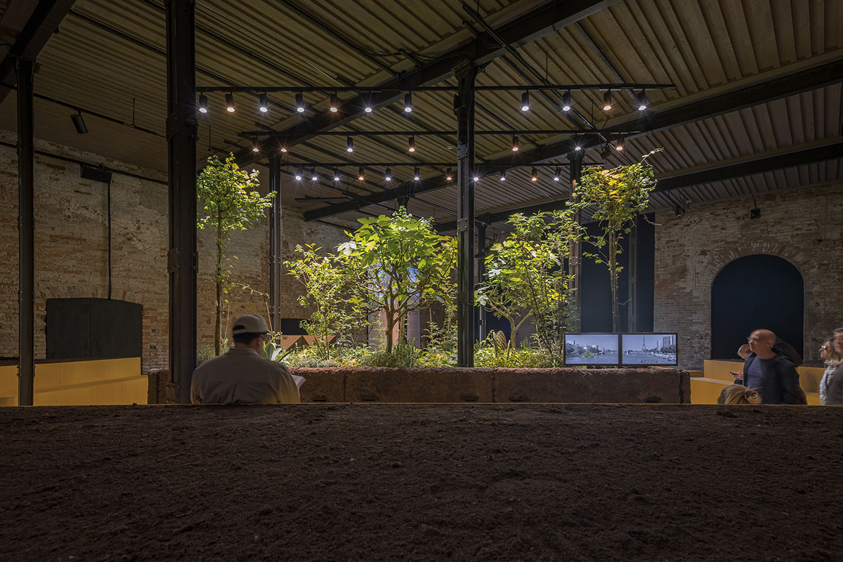 Mexico Pavilion brings the ancient Mesoamerican agricultural system into the Venice Biennale
