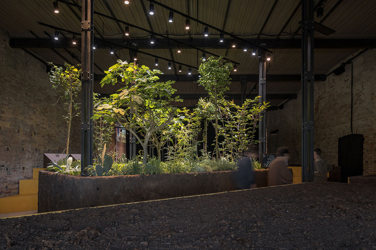 Mexico Pavilion brings the ancient Mesoamerican agricultural system into the Venice Biennale