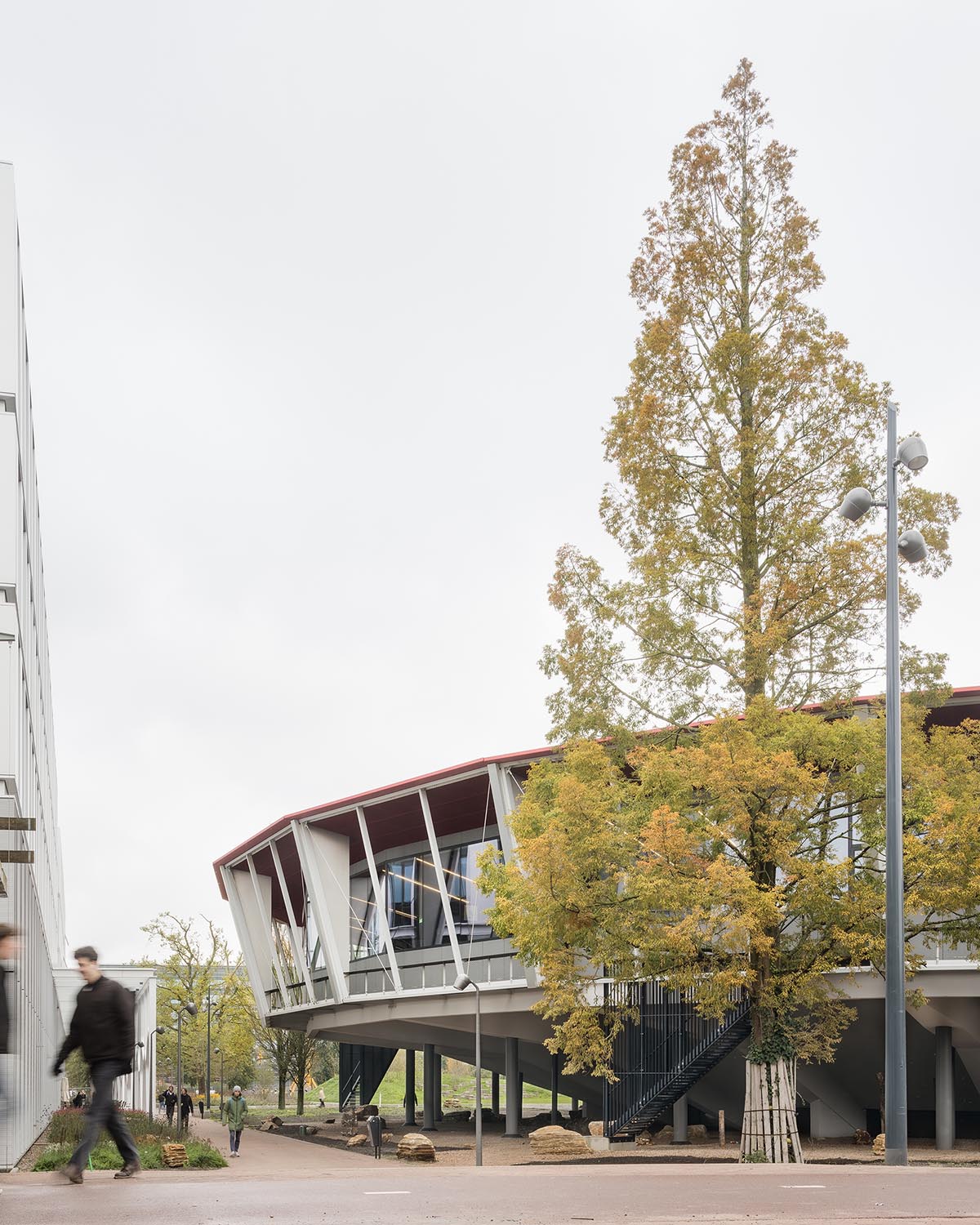 Civic Architects creates a modern marvel for the revamped Gorlaeus Lecture Hall at Leiden University