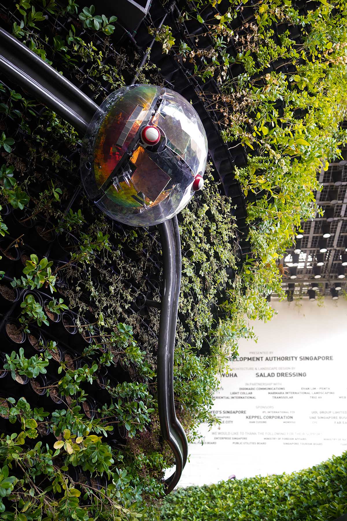 A city in nature: Singapore Pavilion presents Nature. Nurture. Future at Expo 2020 Dubai