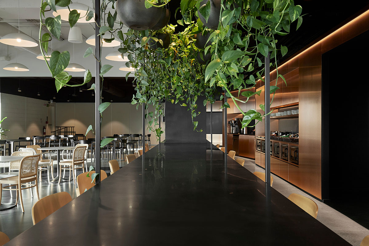 Office interiors by ACDF Architecture create 