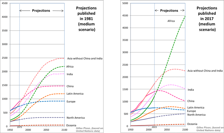 Mashambas Skyscraper Balances A Vision Of The Future Of Traditional Farming In Sub-Saharan Africa