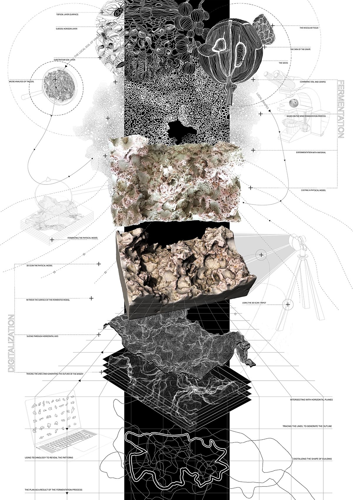 CHYBIK+KRISTOF's new sinuous winery takes inspiration from biological process of fermentation