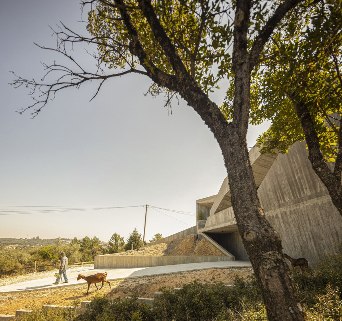 Contaminar Arquitectos built cave-like house from irregular walls inspired by rocky topography