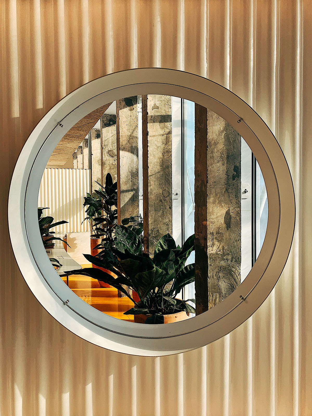 Lasso Cano's new family-friendly creative workspace features vivid colors for Second Home in London