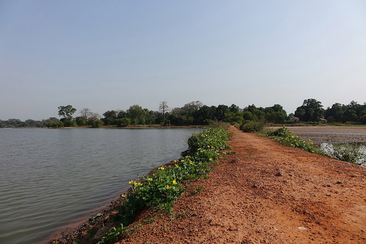 Kaira Looro launches competition for Maternity Centre in rural areas of Africa