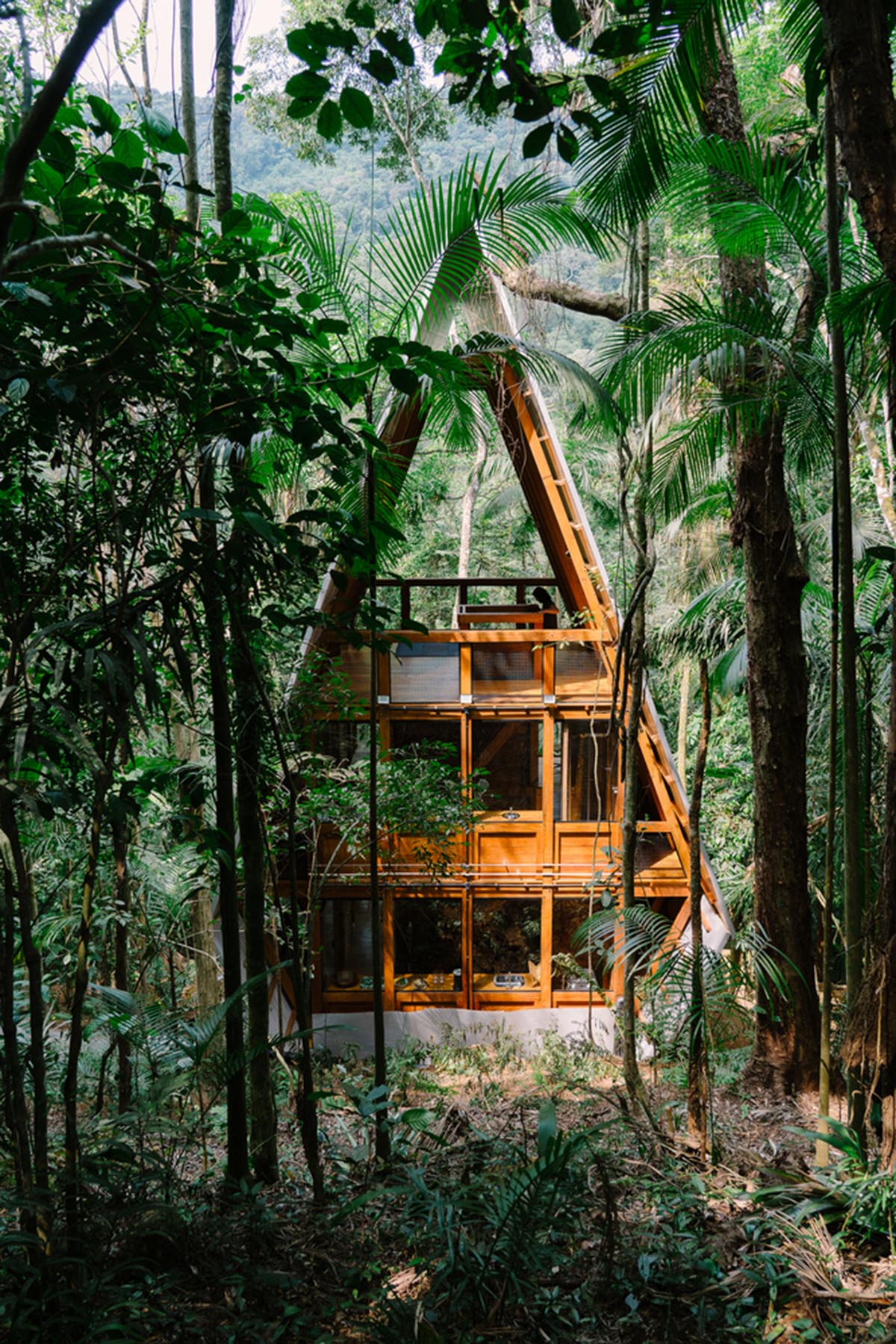 Macaco House is lifted on pillars to have zero interference in vegetation of Brazilian forest