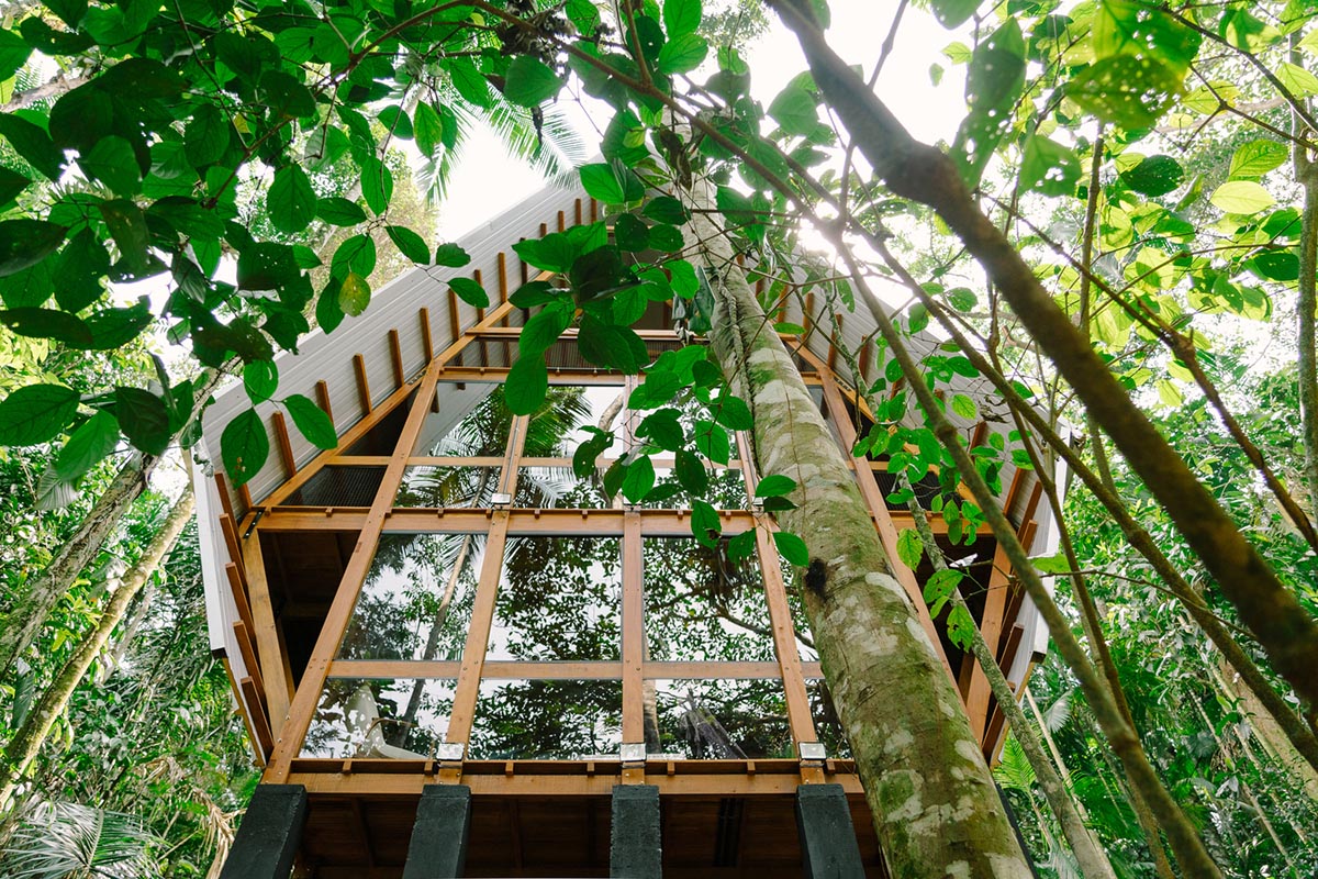 Macaco House is lifted on pillars to have zero interference in vegetation of Brazilian forest