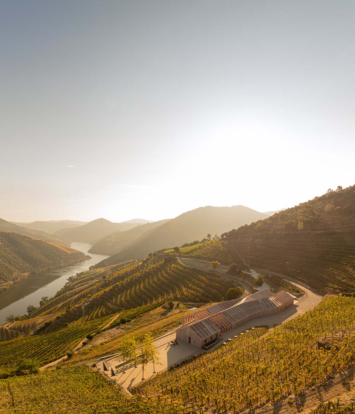 Atelier Sergio Rebelo adds organic elegance to a winery by mimicking the zigzags of the vineyards 