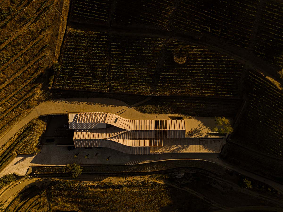Atelier Sergio Rebelo adds organic elegance to a winery by mimicking the zigzags of the vineyards 