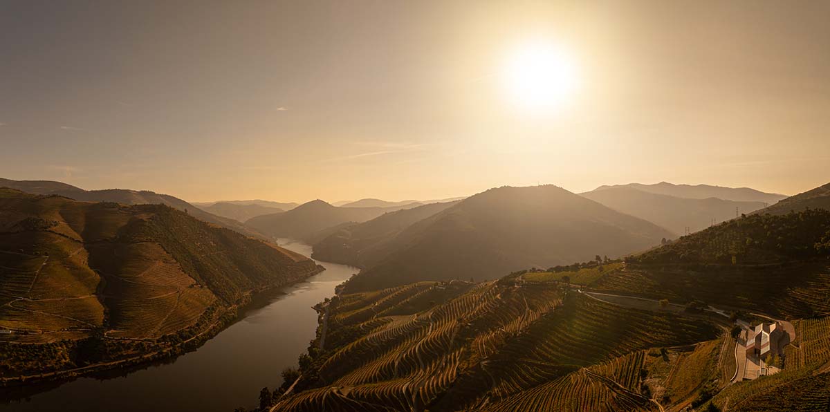 Atelier Sergio Rebelo adds organic elegance to a winery by mimicking the zigzags of the vineyards 